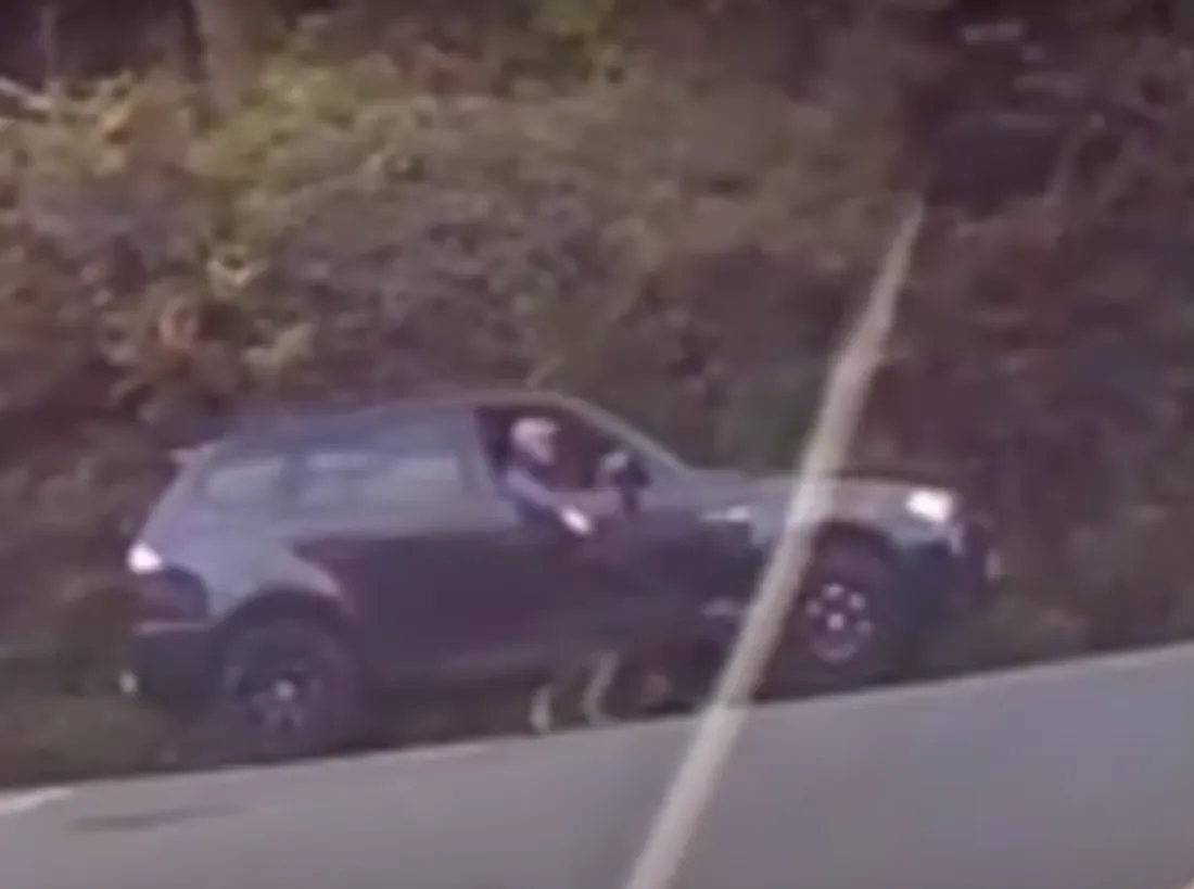 Il sort son chien au volant de sa voiture